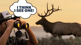 How To Scout For Elk