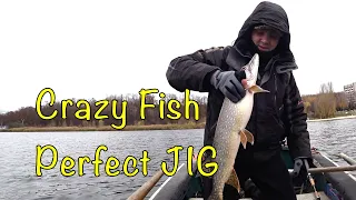 ТЕСТ СПИННИНГА CRAZY FISH Perfect Jig. ЗАКРЫВАЕМ ДАЧНЫЙ СЕЗОН.