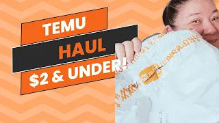 Temu Haul #2 - Items are $2 and under!