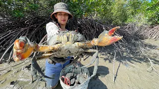 Brave Woman Catch Giant Mud Crabs at Mangrove Zone after Water Low Tide | Top Fishing Videos