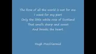 Oh Wee White Rose of Scotland