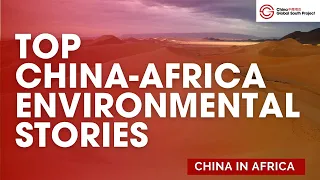 What Should Be on the China-Africa Environmental Agenda?