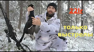 Охота с МЕЛКАШКОЙ(только выстрелы).Hunting in the taiga.Shots from 22lr