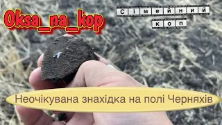 Unexpected find in the field of Chernyakhiv culture