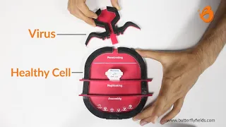 Understand how does a Virus Replicate? | Corona | COVID-19 | Butterfly fields | Conceptual Learning