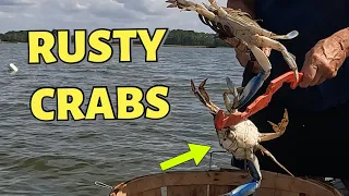 BLUE CRAB, TROT-LINING FOR BIG ONES