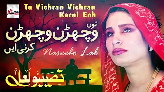 Tu Vichran Vichran Karni  Best of Naseebo Lal  HITECH MUSIC 360p