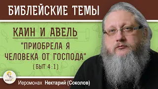 КАИН И АВЕЛЬ #1. "Приобрела я человека от Господа" (Быт. 4:1)  Иеромонах Нектарий (Соколов)