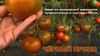 О сортах томатов ЧЕРНЫЙ ПРИНЦ