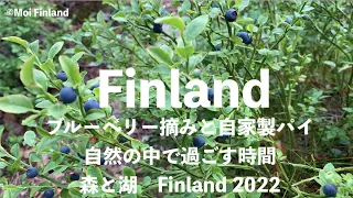 【フィンランドの夏！森でブルーベリー摘み】森と湖｜自家製ブルーベリーパイ｜焚き火とソーセージ｜マリメッコアウトレット買い物