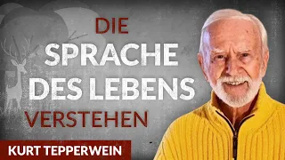 Der Weg zur inneren Freiheit: Wie die Schule des Lebens funktioniert - Kurt Tepperwein | Tobias Beck