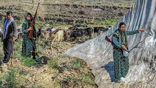 How a village couple graze their sheeps in the mountains?