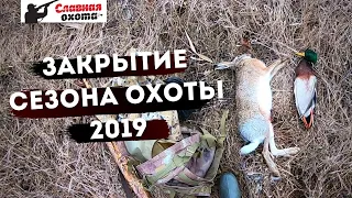 Как я закрыл сезон охоты на Кубани 2019Славная Охота