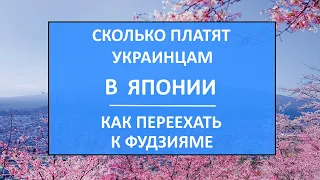 Сколько платят украинским беженцам в Японии. Пособия для украинцев. Как переехать и получить убежище