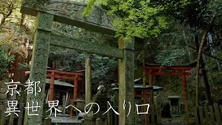 【異世界への入り口】京都の穴場スポット : Walking Around Oiwa Shrine（Kyoto, Japan）