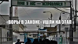 Курганским курсом: После бунта в Бутырке грузинские «воры в законе» ушли на этап