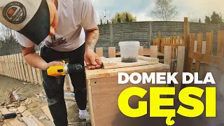 🦢 DOMEK DLA GĘSI 🦢 nowe podwórko prawie gotowe ✅ MOJE MINI ZOO / odc. 201