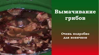 Вымачивание грибов. Очень подробно для новичков.