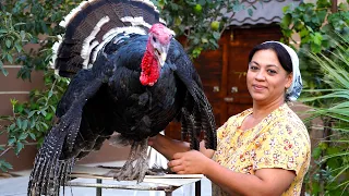 Discover the magic of village living | 10 Kg Poultry Turkey cooked on fire