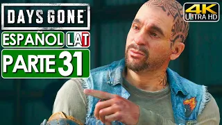 Days Gone (PS5) Gameplay Español Latino Campaña Parte 31 (4K 60FPS) 🕹️ SIN COMENTARIOS