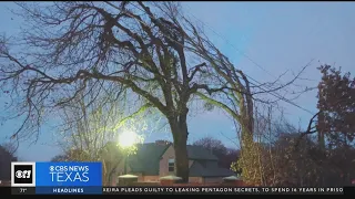 Flower Mound trees are vanishing in a construction nightmare