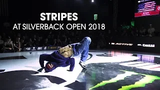 Stripes at Silverback Open 2018 // .stance