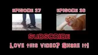 Weekly fails 2015, funny interesting videos - Epic Fail Win || Funny Berry Compilation Episode 66