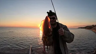 Hot Port Phillip Bay Landbased Squid Fishing