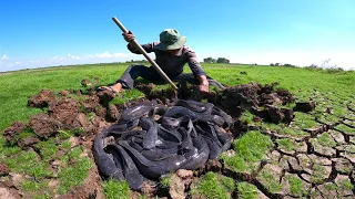 BEST hand fishing - a fisherman catch underground monster catfish by technique hand now dry season