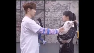 Yibo and Cheng Xiao (Tong Yao) playing with her Cat😻❤ #chengxiao #yibo #FallingIntoYourSmile #douyin