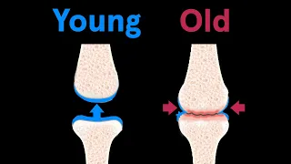 How Your Body Ages From Head to Toe | WIRED