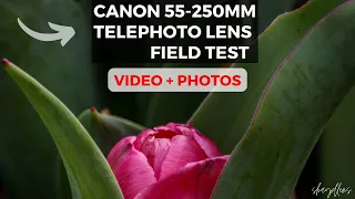 Testing the Canon 55-250mm Lens | Video & Photo Samples | Flower Photography