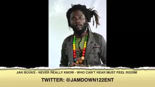 Jah Bouks -- Never Really Know [Who Can't Hear Must Feel Riddim] - Island Life Records