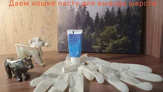 Даем кошке пасту для вывода шерсти.