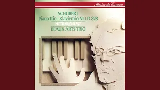 Schubert: Adagio in E flat major, D.897 "Notturno"