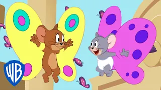 Tom & Jerry | If Mice Could Fly 🦋 | WB Kids