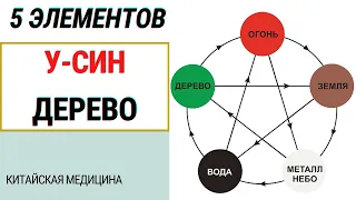 У-СИН ДЛЯ НАЧИНАЮЩИХ. ЭЛЕМЕНТ ДЕРЕВО. КИТАЙСКАЯ МЕДИЦИНА С ПОЗИЦИИ ПРИКЛАДНОЙ КИНЕЗИОЛОГИИ.