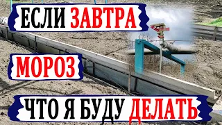 🍇 Если завтра мороз! Защита винограда от весенних заморозков. Что я делаю на своем винограднике.