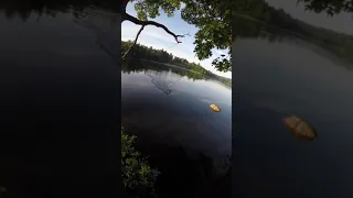 Double Karen encounter while Trout Fishing