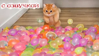 ПРИКОЛЫ С КОТАМИ!  Смешные Животные С ОЗВУЧКОЙ! СМЕШНЫЕ КОТЫ - ДО СЛЁЗ!