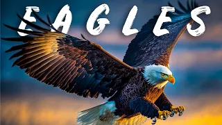 The Bird Of Prey: Eagles Documentary | 8K HDR Dolby Vision