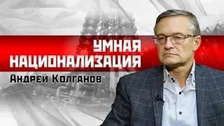 Андрей Колганов: Умная национализация