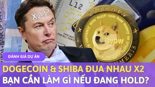 Dogecoin & Shiba Đua Nhau X2 - Bạn Cần Làm Gì Nếu Đang Hold?