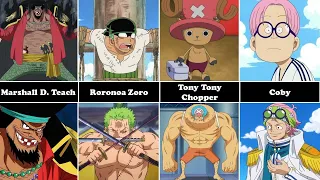One Piece Characters After TimeSkip