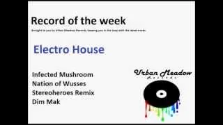 Infected Mushroom - Nation of Wuses (StereoHeroes Remix)