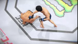 Bruce lee vs mighty mouse ufc 2
