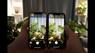 Comment améliorer sa qualité d'appareil photo et vidéo sur son iPhone !