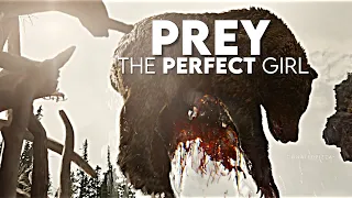 The Perfect Predator [Prey]