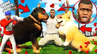 GTA 5 : Chop Wants To Marry in GTA 5 ! (GTA 5 mods)