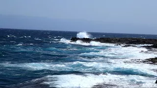 Antigua Caleta de Fuste   Paseo Maritimo oT 02 ies